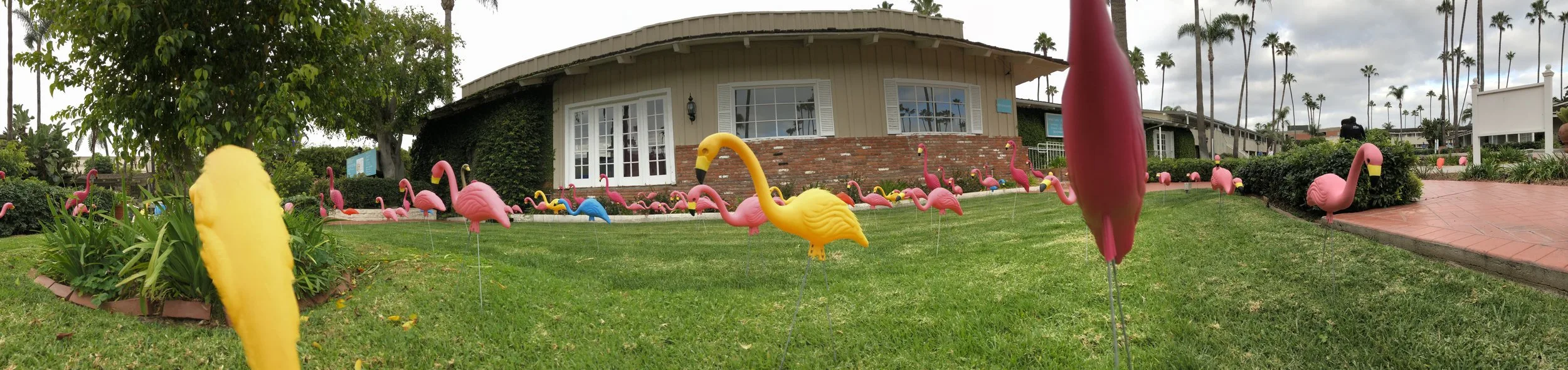 'Flamingo Lawn' relaxed 1950's Californian style Town and country Resort with cheeky touches.