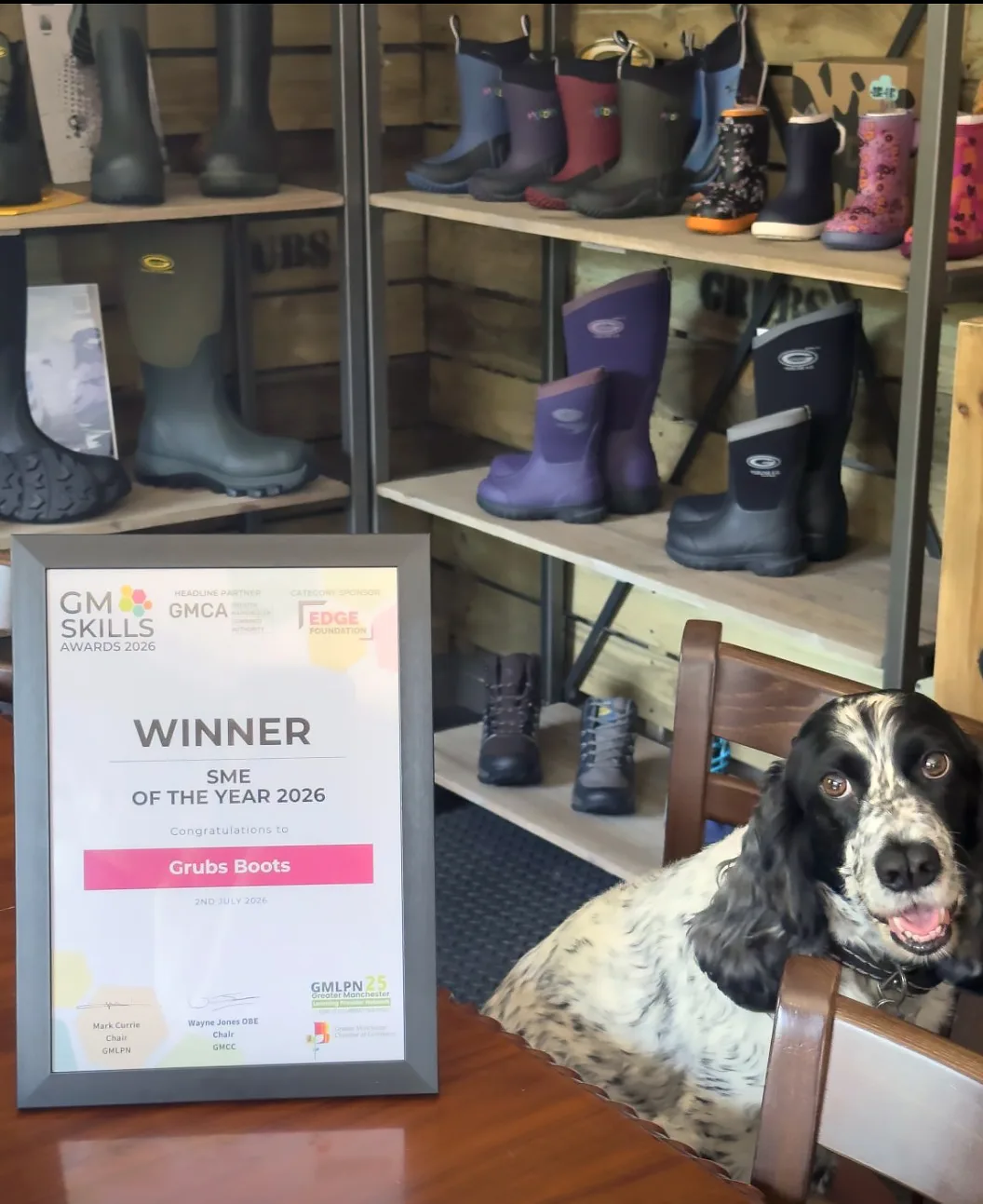 The GM Skills Awards 2026 "SME of the Year" certificate for Grubs Boots, framed beside a shelf of Grubs wellington boots
